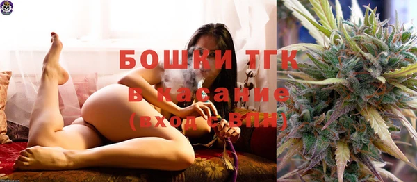 шишки Волоколамск