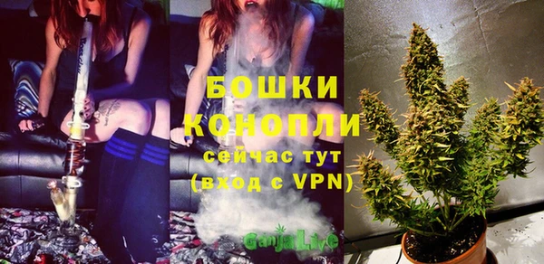ALPHA PVP Горняк